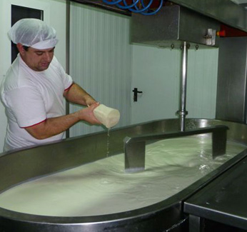 Elaboración de queso artesanal con leche cruda de oveja